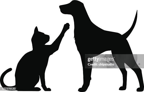 hund katze spielen - hundeartige stock-grafiken, -clipart, -cartoons und -symbole