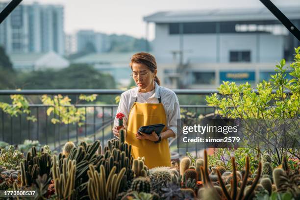 nurturing nature: the flourishing story of an asian female plant whisperer - ornamental plant stock pictures, royalty-free photos & images