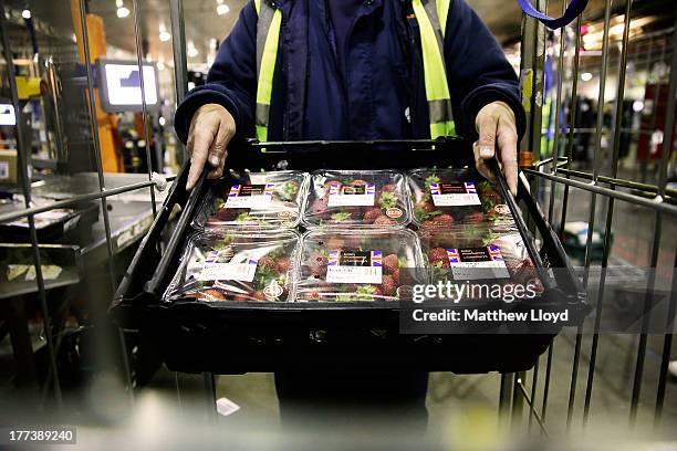 Sainsbury's makes final preparations as 500,000 punnets of Strawberries are expected to sell this weekend at the Sainsbury's infrastructure at...