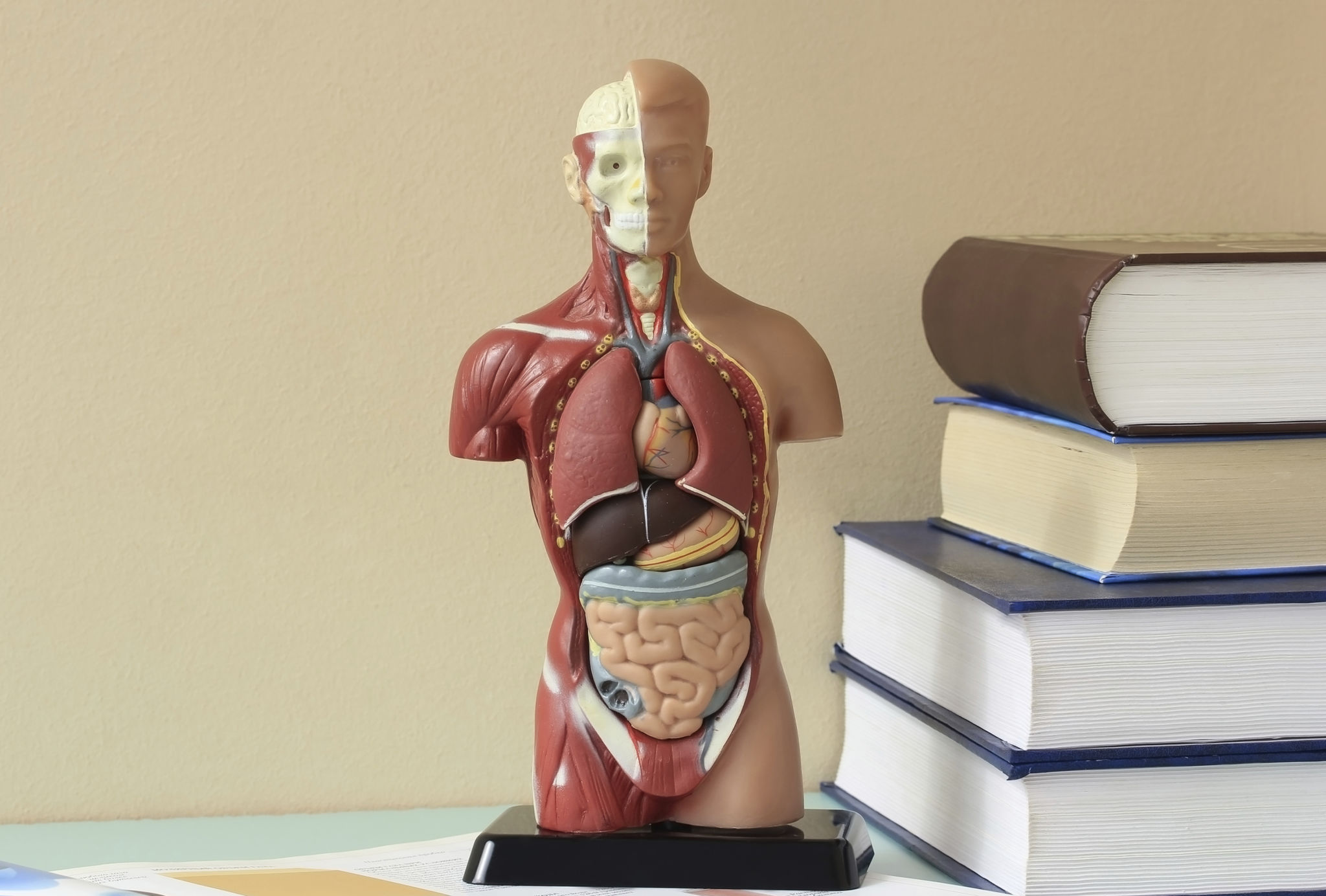 biology textbook