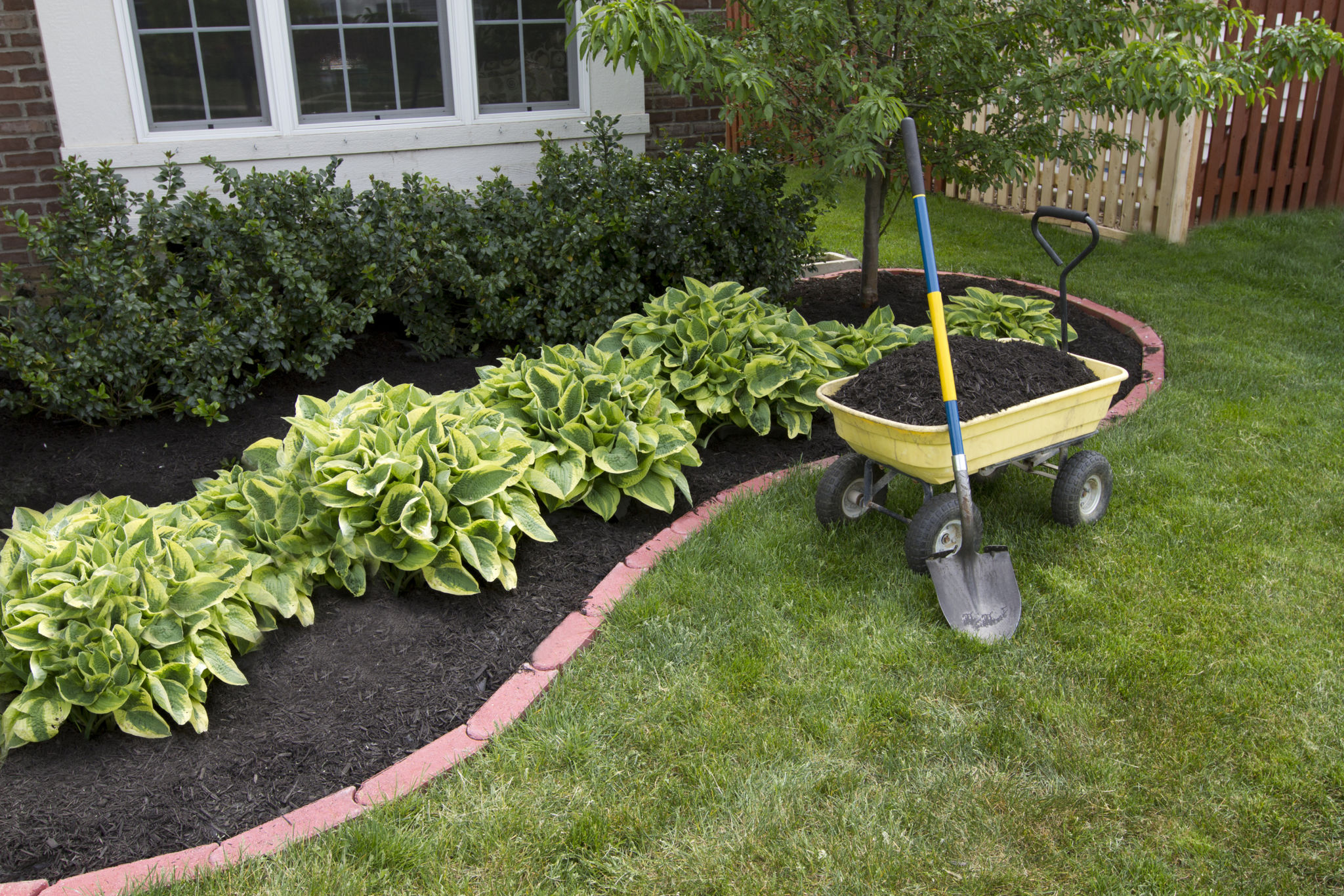 spring garden maintenance