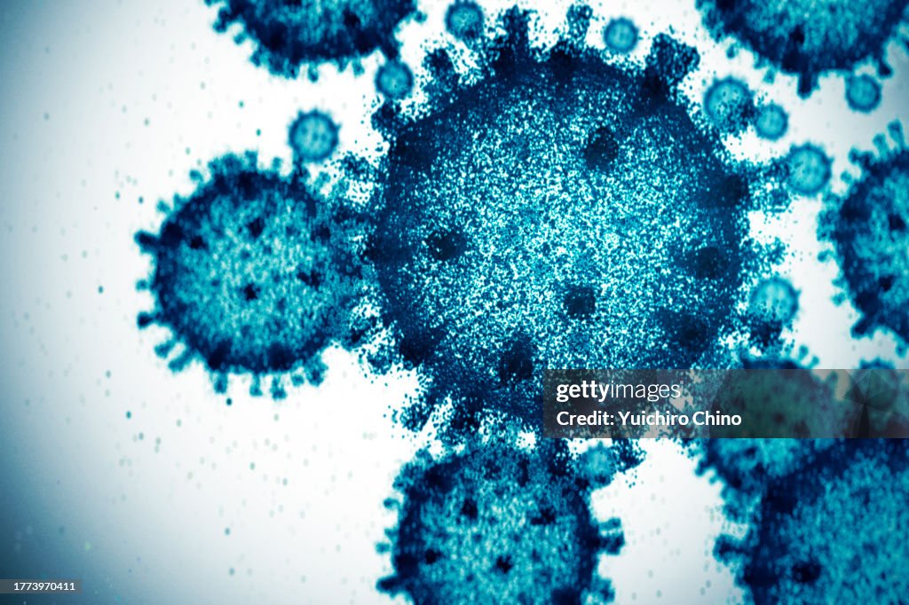 Virus