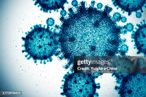 Virus Virus