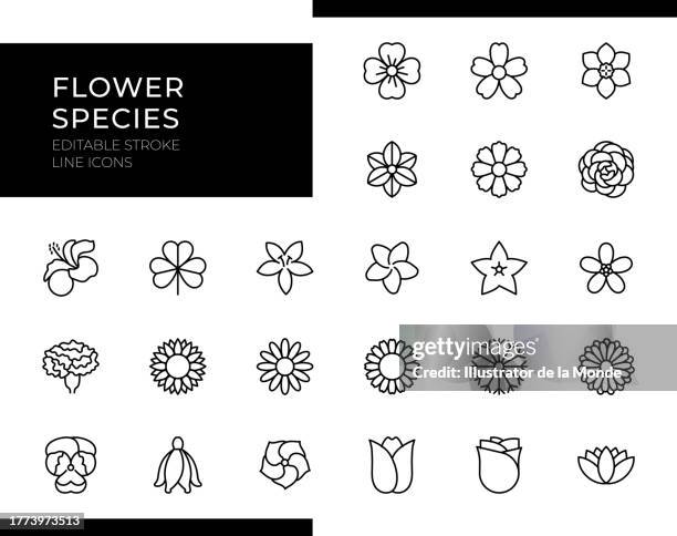 flower species icons - line series - editable stroke - marigold stock illustrations