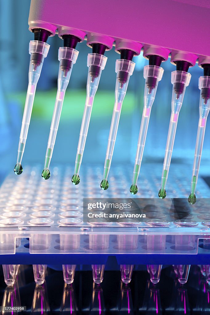 Dna Pcr Lab Tubes And Tests For Pcr Amplification Of Dna In Laboratory High-Res ...