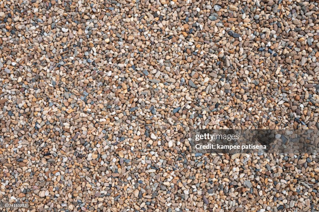 Minimalist Gravel Path in Garden