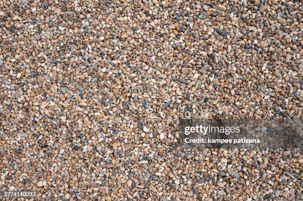 minimalist gravel path in garden - gravidas imagens e fotografias de stock