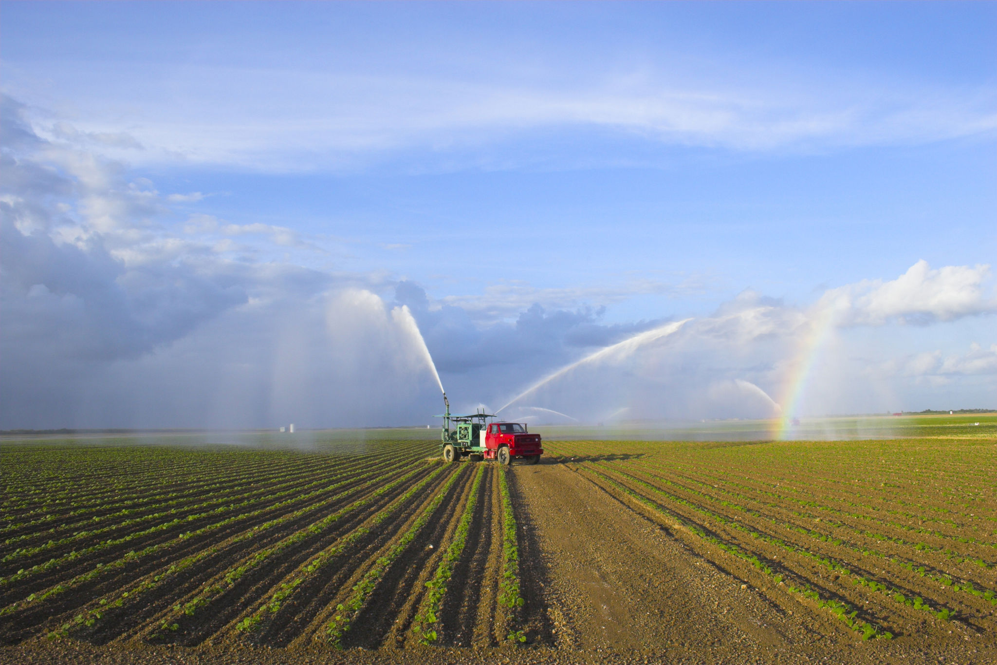 florida agriculture