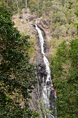 Kondalilla Falls waterfall in Queensland Sunshine Coast Australia
