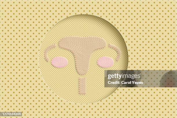 uterus and ovaries in pastel yellow paper work - menschliche gebärmutter stock-fotos und bilder