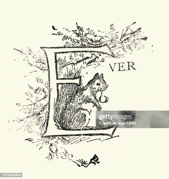 vintage illustration of captial letter e, ever, squirrel, victorian design element, 19th century - american red squirrel stock illustrations