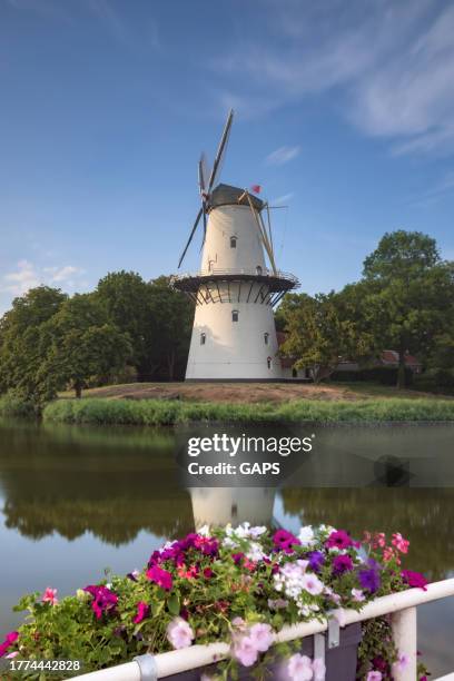 mill de hoop, a round stone corn and flour mill, in middelburg; middelburg, netherlands - middelburg netherlands bildbanksfoton och bilder