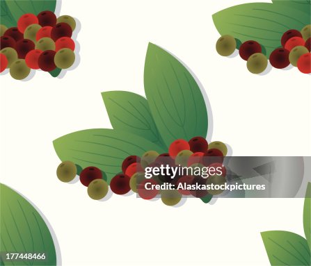 Seamless pattern with pepper. Seamless pattern with pepper.