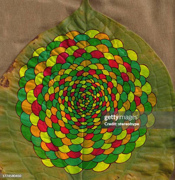 leaf lattice - cornucopia stock illustrations