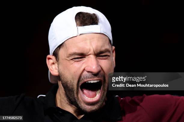 Grigor Dimitrov of Bulgaria celebrates victory in his semi final match against Stefanos Tsitsipas of Greece during Day Six of the Rolex Paris Masters...