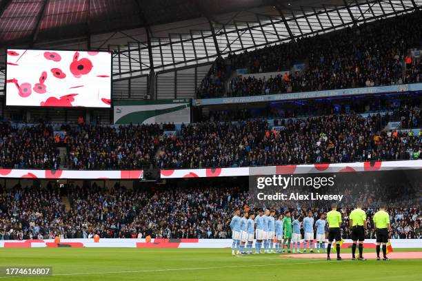 The fans, players and match officials observe a minutes silence ahead of the upcoming Armistice Day prior to kick-off ahead of the Premier League...