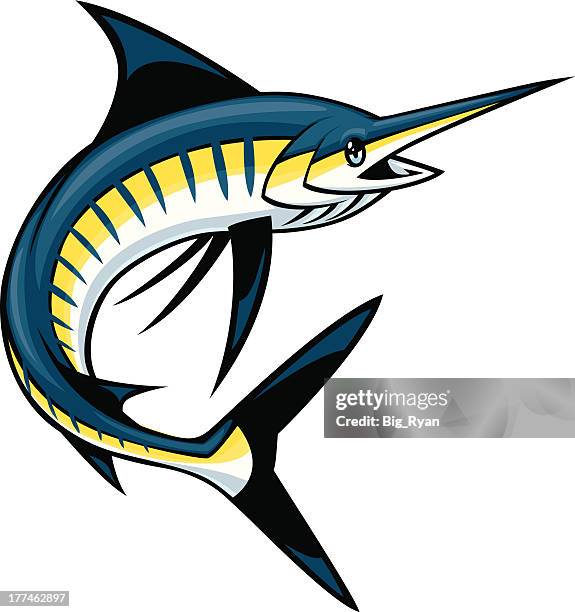 swordfish - swordfish stock illustrations