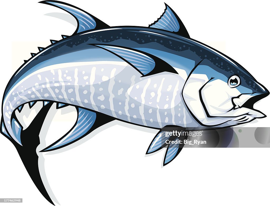 Bluefin tuna