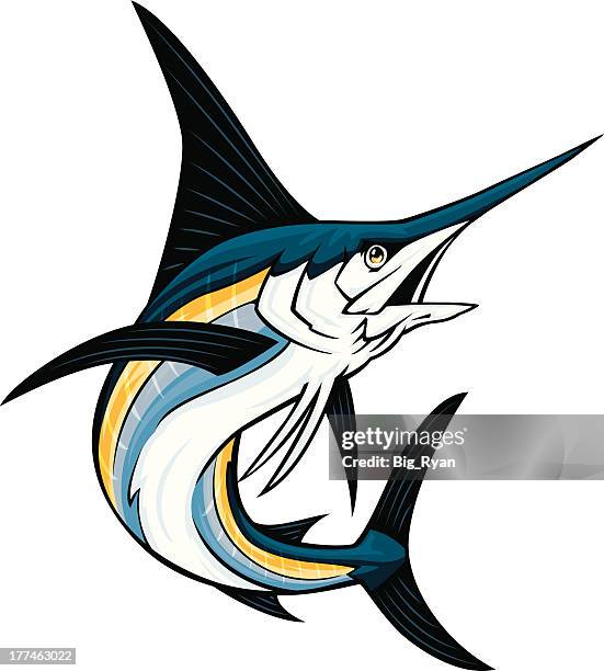 illustrazioni stock, clip art, cartoni animati e icone di tendenza di pesce spada - marlin