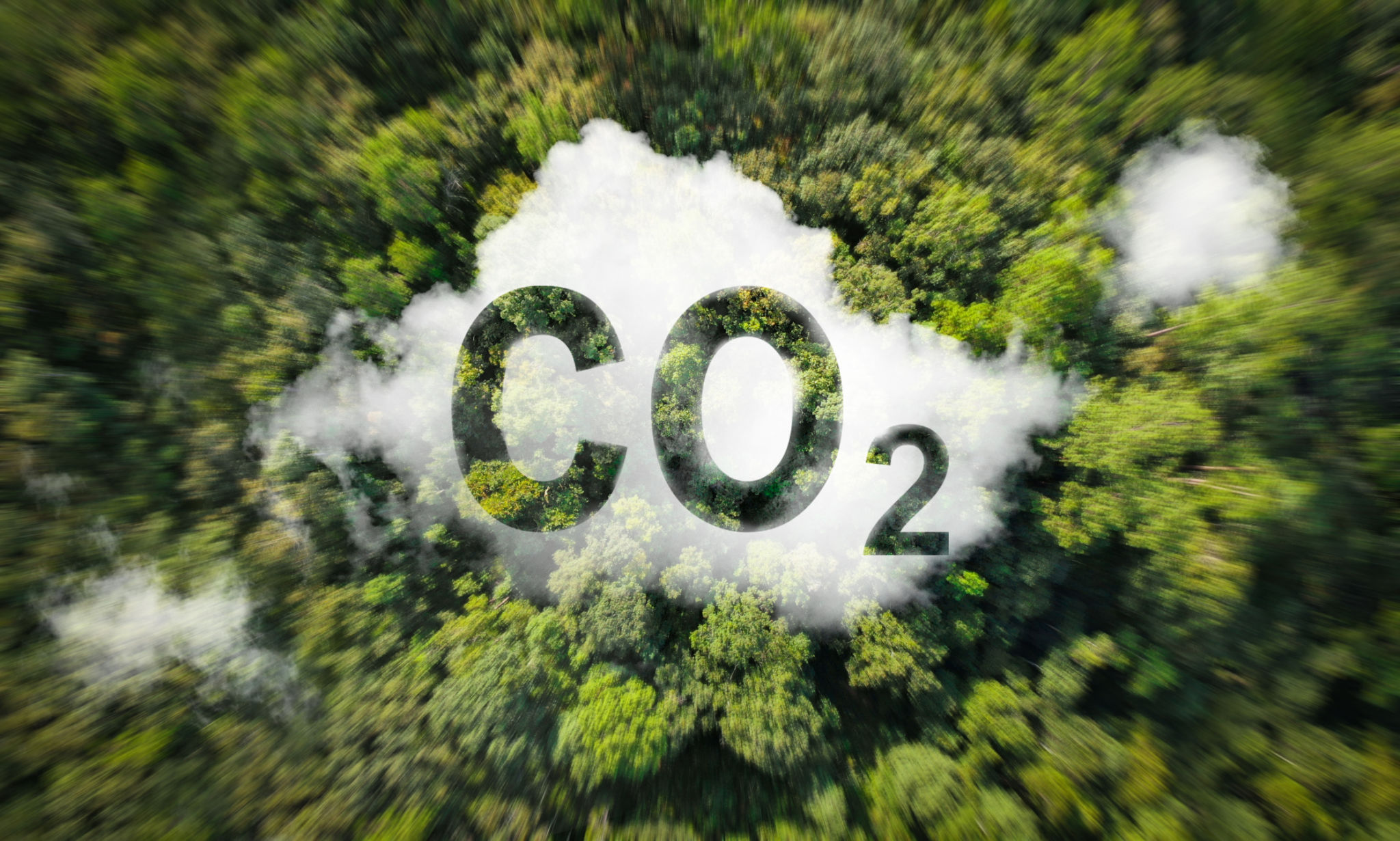 co2 extraction process