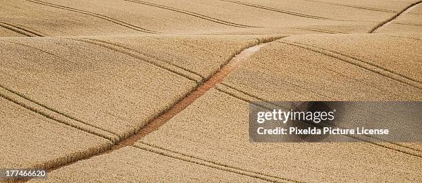 undulations - contea di lincoln inghilterra foto e immagini stock