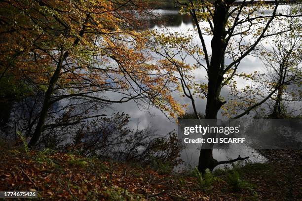 Deciduous trees bearing autumnal colours are seen beside Ladybower Reservoir near Bamford in the Peak District National Park in northern England on...