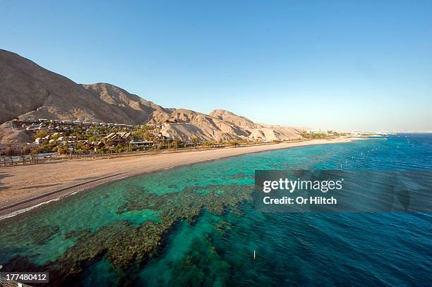 eilat coral rief - eilat stock pictures, royalty-free photos & images