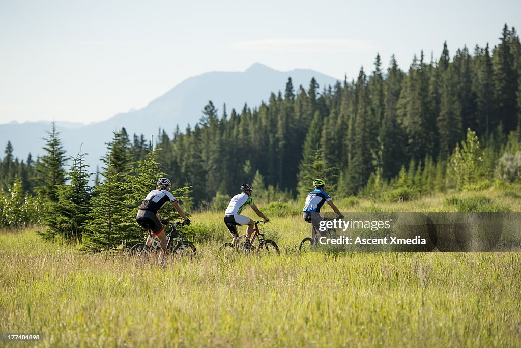 Mountain bikers follow path through mtn meadow