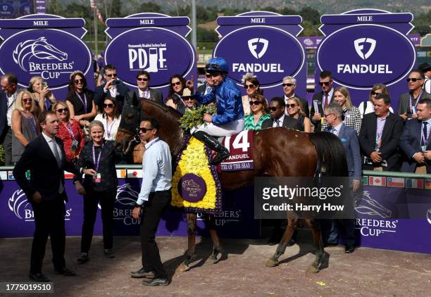 Jockey William Buick reacts in the winner's circle after victory atop Master of The Seas of Ireland during the FanDuel Breeders' Cup Mile at Santa...