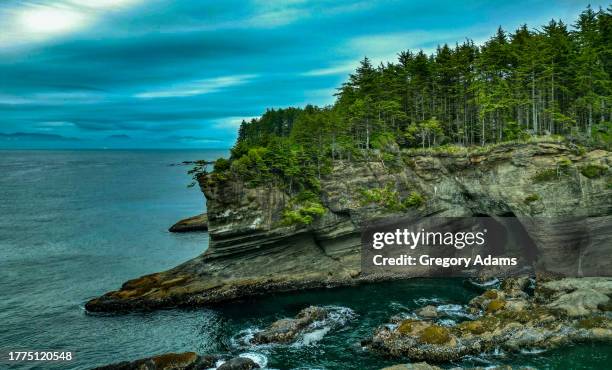 rocky coast of cape flattery in the american olympic peninsula - cape flattery 個照片及圖片檔