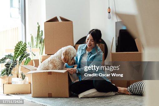 Young Asian woman having fun with her dog while unpacking cardboard boxes in the living room Young Asian woman having fun with her dog while unpacking cardboard boxes in the living room