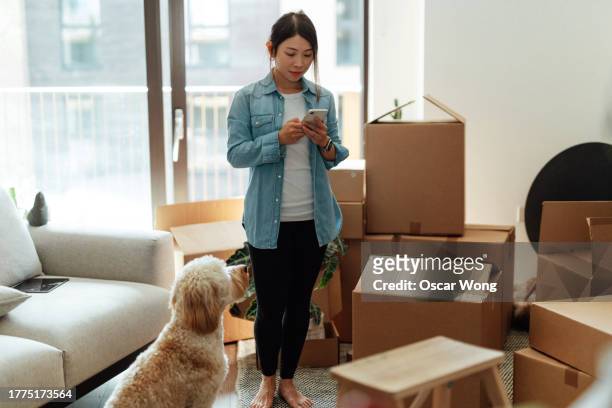 young asian woman using smartphone while unpacking cardboard boxes with her dog in the living room - east asian ethnicity stock pictures, royalty-free photos & images