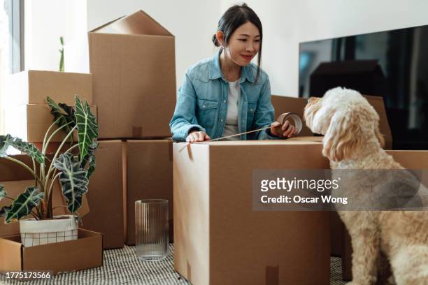 young asian woman packing cardboard boxes with her dog in the living room - good move concept stock pictures, royalty-free photos & images