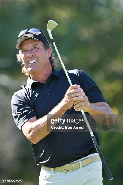 Stephen Ames of Canada watches his shot on the second tee box during the second round of the Charles Schwab Cup Championship at Phoenix Country Club...