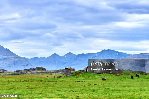 beautiful idyllic, iceland - grass land stock pictures, royalty-free photos & images