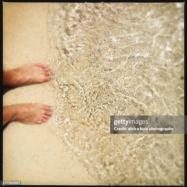 mis pies en el mar caribe - mar caribe stock pictures, royalty-free photos & images