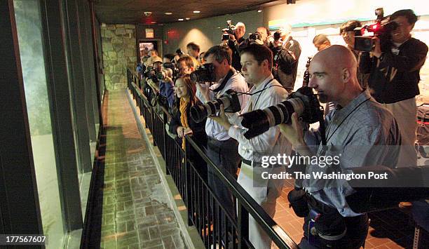 Robert A. Reeder TWP Tai Shan, the National Zoo's nearly 5-month old giant panda cub finally meets the press. Waves of media were given the...