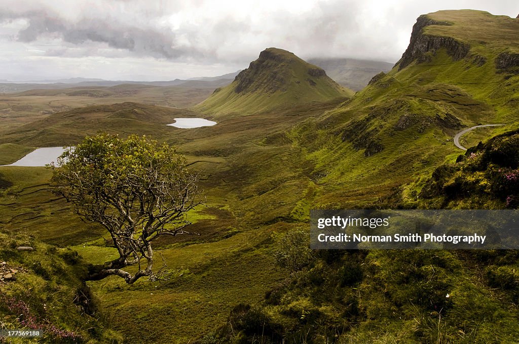 Rowan in the Quiraing