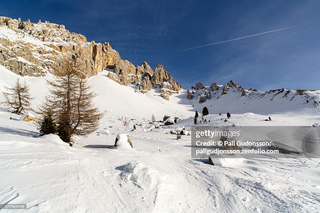 Winter Wonderland - Val di Fiemme, Italy