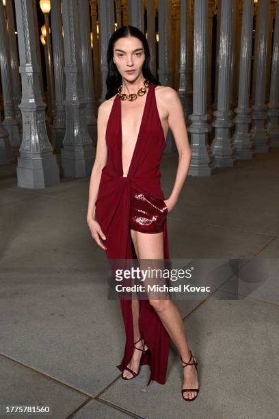 Mariacarla Boscono attends the 2023 LACMA Art+Film Gala, Presented By Gucci at Los Angeles County Museum of Art on November 04, 2023 in Los Angeles,...
