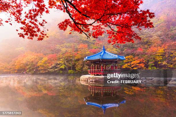 red ancient pavilion and red maple trees - corea del sur fotografías e imágenes de stock