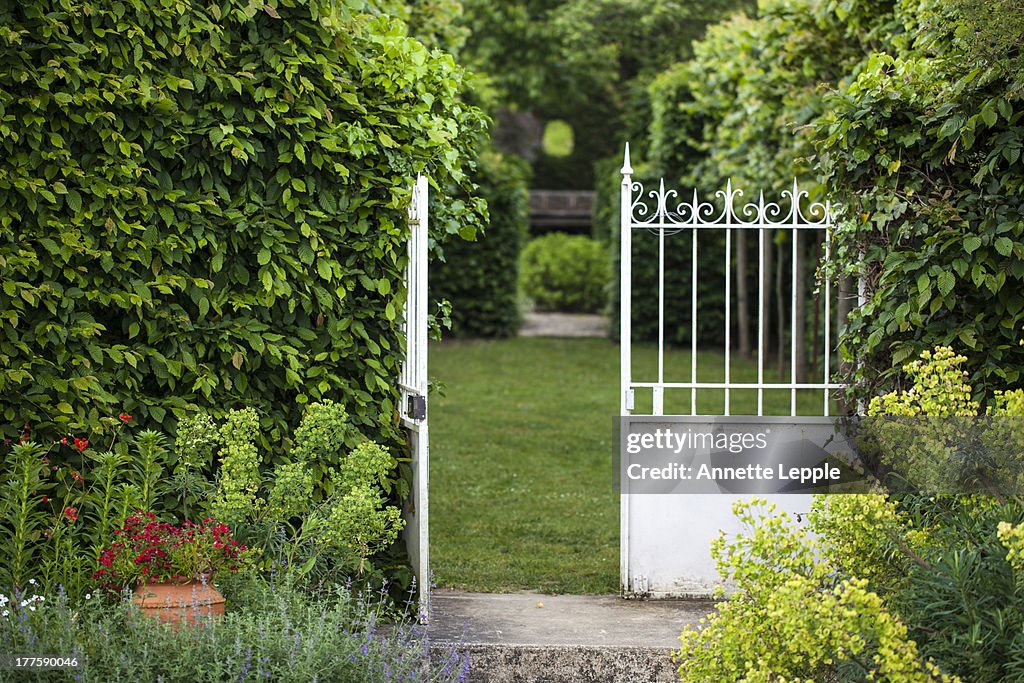 White gate opening onto allee of pleached lime