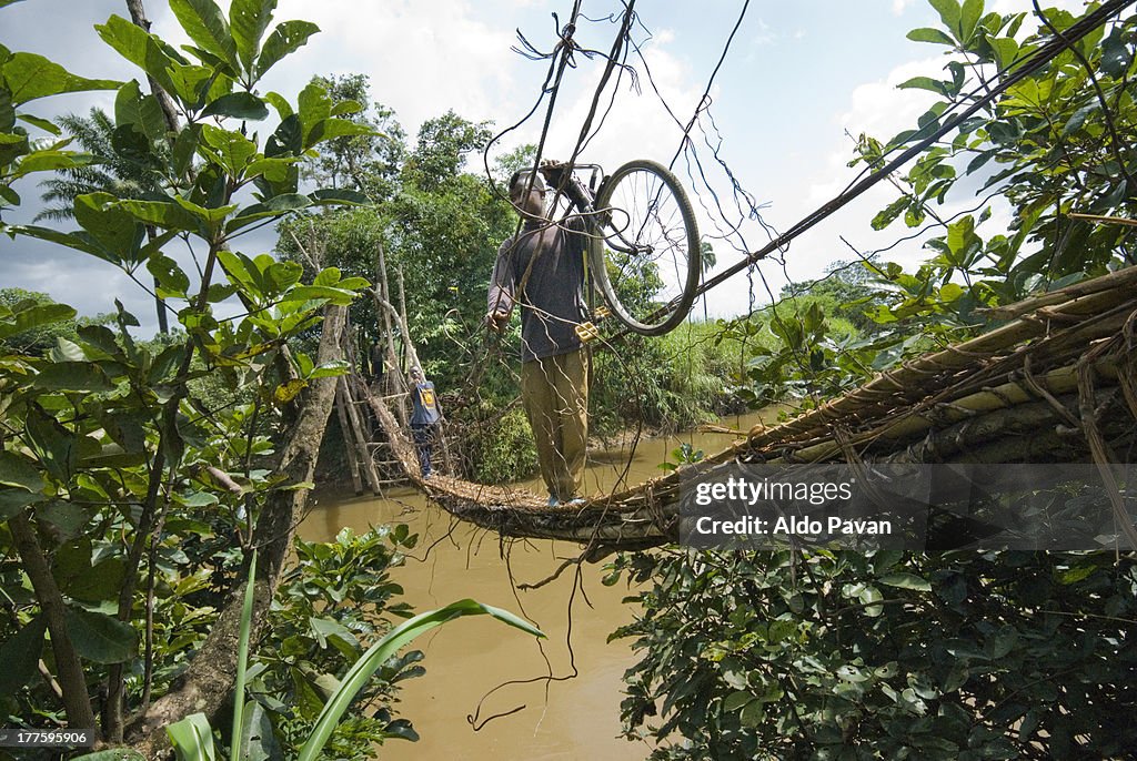 Guinea, Kissidougou, hanging bridge
