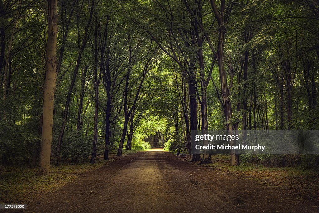 Tiergarten Path