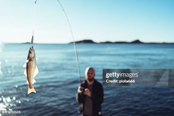 hombre girando pescando en el mar con una caña, de las rocas - pesca fotografías e imágenes de stock