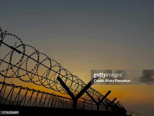 barbed wire against sunset sky background - arame farpado arame - fotografias e filmes do acervo