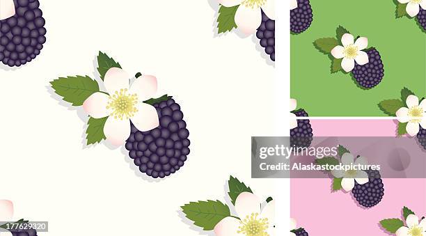 seamless pattern, with blackberries. - blackberry pattern stock illustrations
