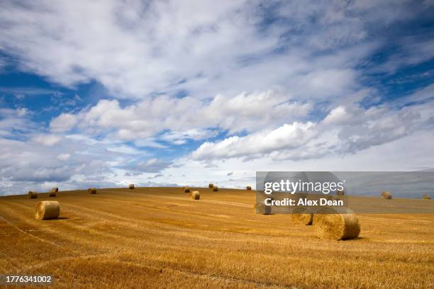 haybales in a field in the summer 2 - bale stock pictures, royalty-free photos & images