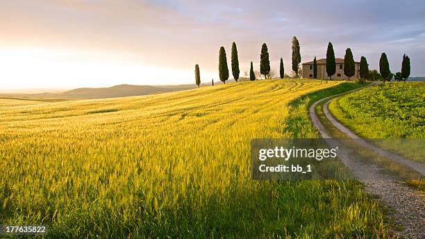 farmhouse in sunset - tuscany, italy - tuscany stock pictures, royalty-free photos & images