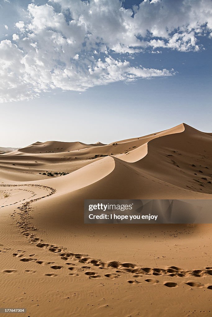 Dunes/Dunas (Sahara)